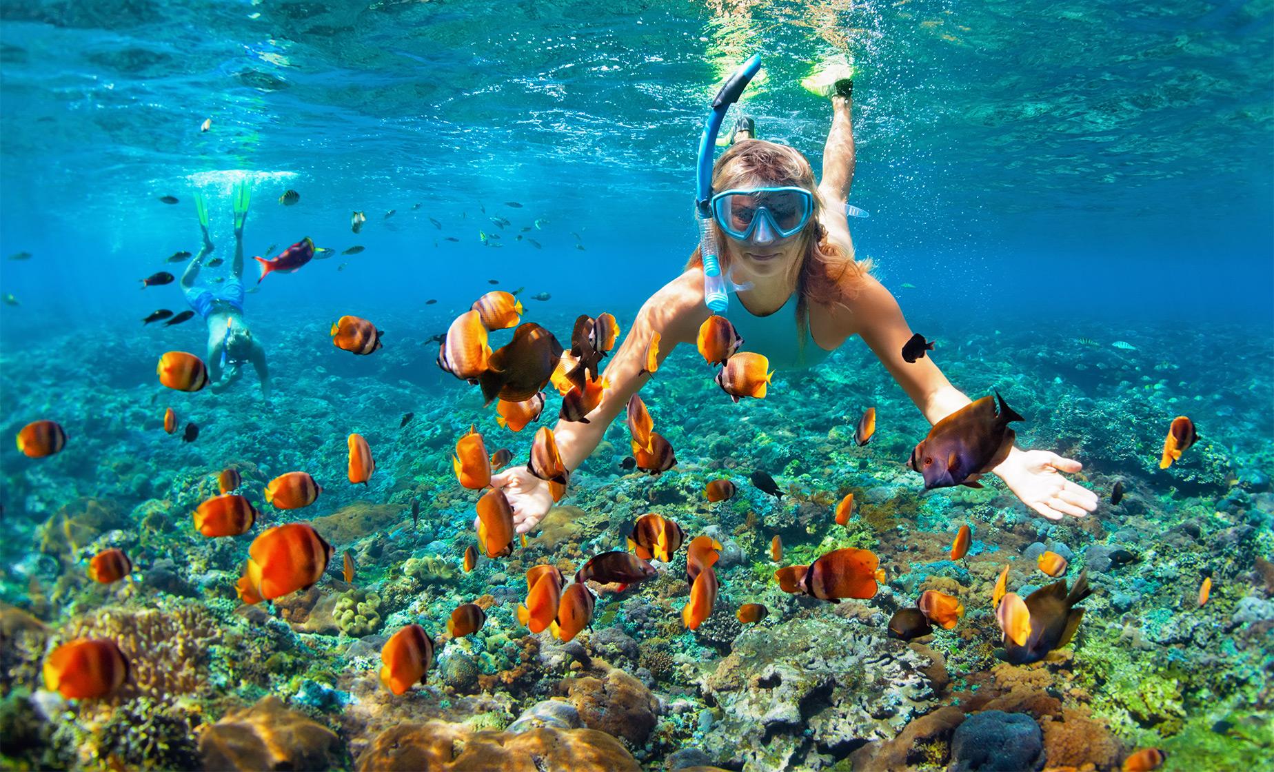 Snorkeler floating above coral near Marietas Islands with the Hidden Beach crater in the background